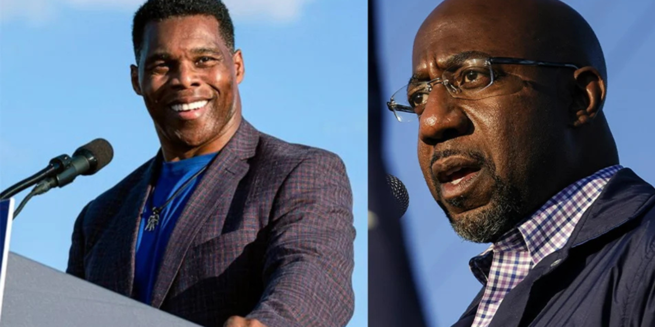 Race matters in the Warnock vs. Walker Senate race