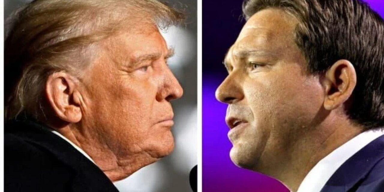 Donald Trump will beat the brakes off Ron DeSantis in the GOP Primary
