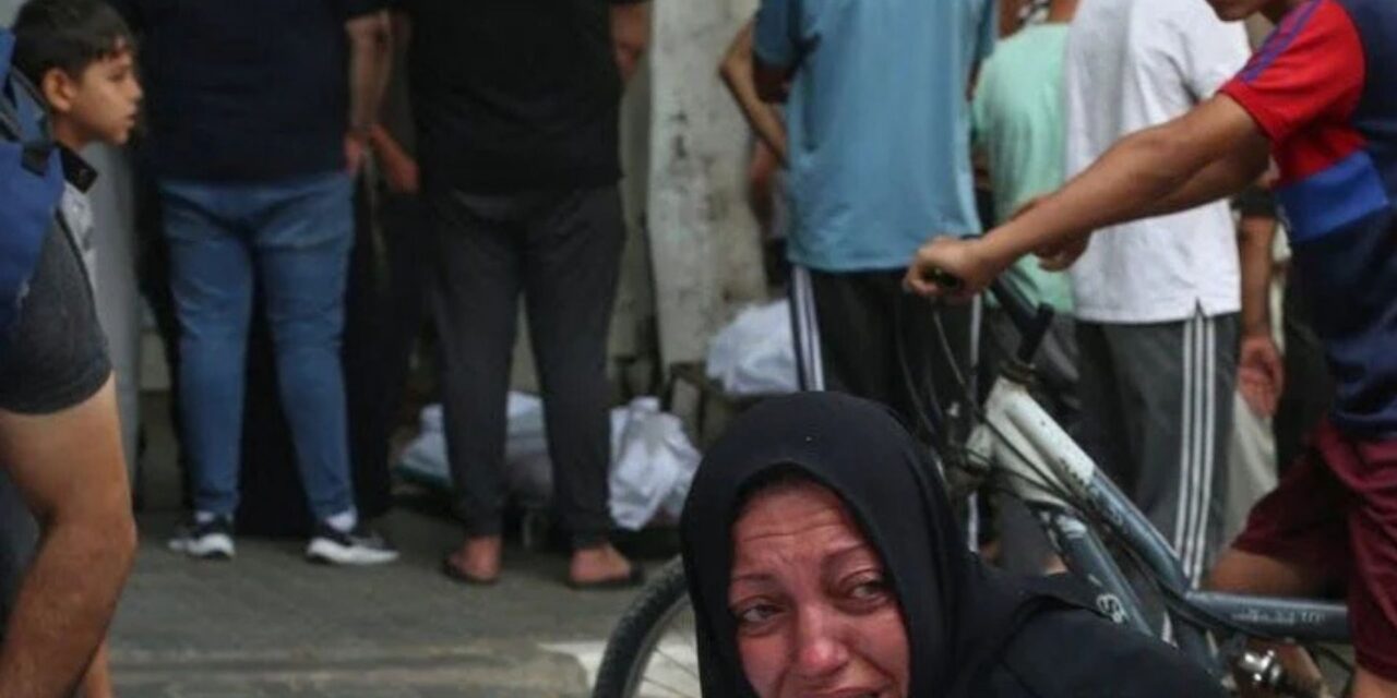Stop the Genocide in Gaza!