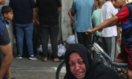 Stop the Genocide in Gaza!