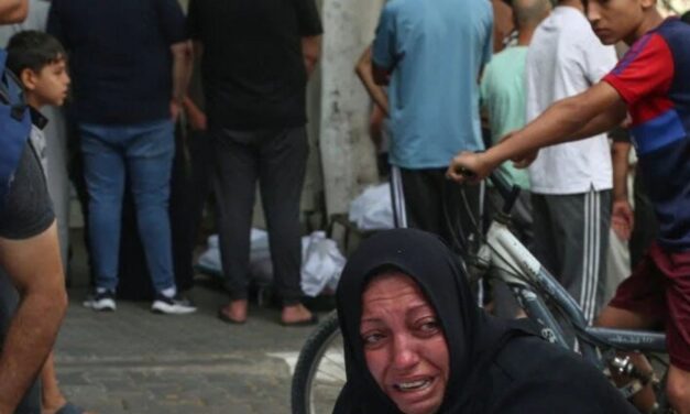 Stop the Genocide in Gaza!