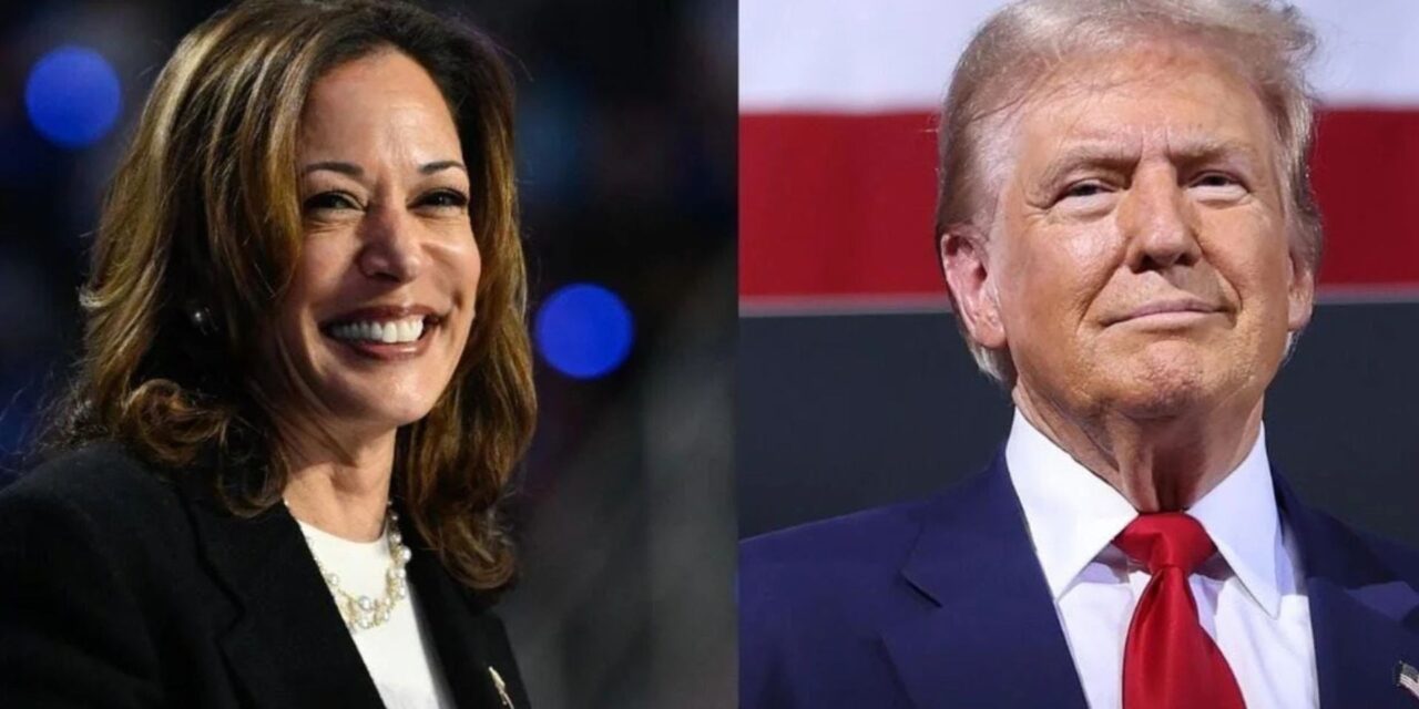 Perspective on the Teamsters refusal to endorse VP Kamala Harris