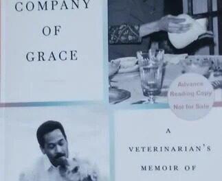 A Veterinarian’s Memoir of Trauma and Healing