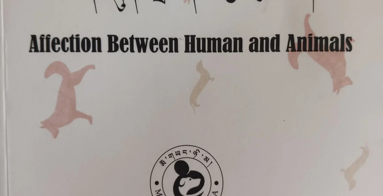 Affection Between Human and Animals