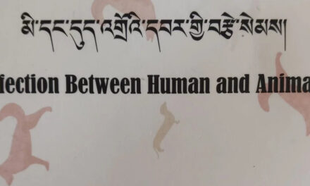 Affection Between Human and Animals