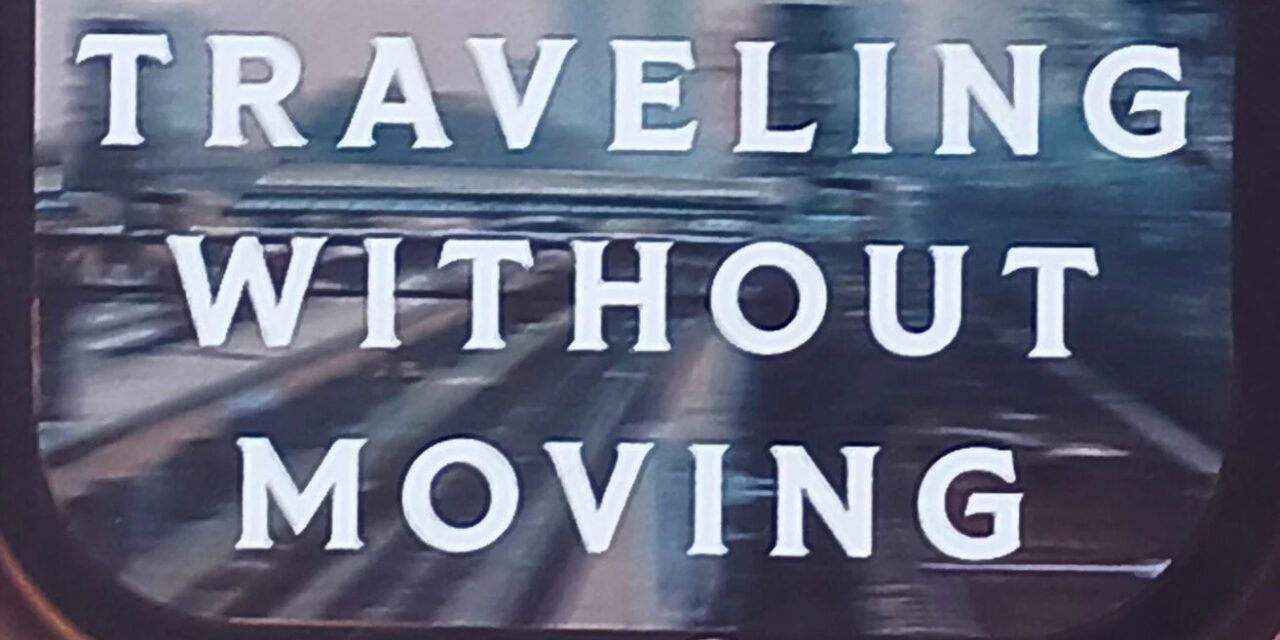 Essays from a Black Woman Trying to Survive in America